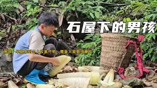 男孩一早就來到山上收集竹筍，畢竟大家都很愛吃《石屋下的男孩》377