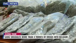 Gang Smuggles More Than 4 Tonnes Of Drugs Into Belgium