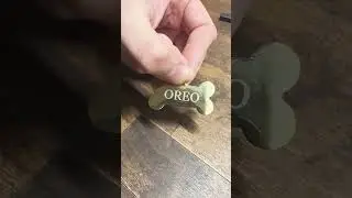 F2 XTool Laser Engraving  Stainless Steel Dog Tag
