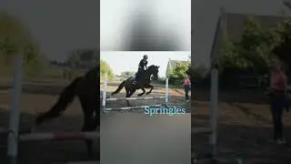 Ponykamp bij Stal de Ripse Ruiters