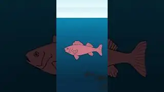 Ocean Pressure Explained 🌊 | How Deep Can We Go? #Shorts