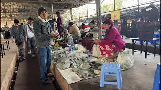 翡翠直播2026/1/15翡翠原石|緬甸曼德勒直播撿漏高端緬甸翡翠玉石、原石、賭石|角湾市场直播代購高性價比冰種翡翠、陽綠翡翠、紫玉、缅甸玉Jade collection