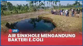 🔴 Air Sinkhole Lima Puluh Kota Mengandung Bakteri E.Coli, Wagub Sumbar Minta Tak Dikaitkan Mistis
