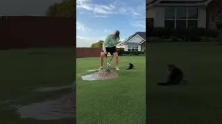 Danger in the Backyard: The Sinking Ground!