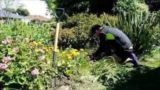 Weeding Services | Garden Maintenance