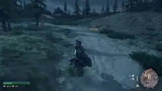Days Gone after main story missions