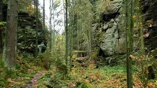 Die Dürrkamnitzschlucht / seit 2021 gesperrt (Böhmische Schweiz) Suchá Kamenice / Ceské Švýcarsko