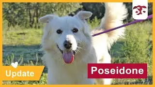 Poseidone - Update Dezember 2025