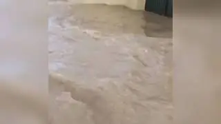 &ldquo;Le vie dei tesori&rdquo; del surf. Oggi siamo a Pizzolungo 🏄🏻&zwj;♂️