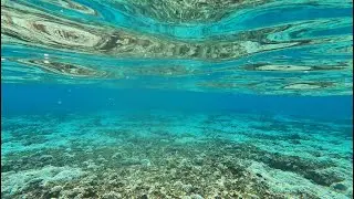 World Oceans Day 2021