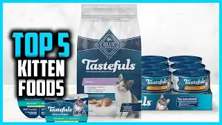 ✅ Top 5 Best Kitten Foods in 2026