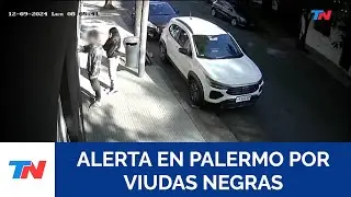 ALERTA EN PALERMO I Una viuda negra lo sedó y le desvalijaron el departamento