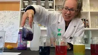 🌈Cabbage pH Indicator - Create Colourful Concoctions!