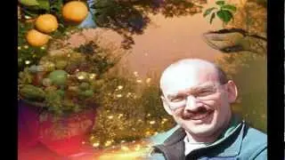 rob in the  page Family - Project Off Grid - Universal Spectrum Forum Live Chat