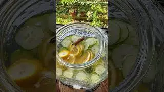 Daily Detox Water Recipe | Easy & Refreshing | Part of Mom&rsquo;s Adventures lifestyle! #detoxwater