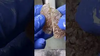 Cutting an UGLY Idaho GEODE! #agate #minerals #agatehunting #rockhound #lapidary #geode #crystals