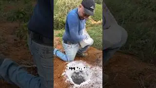 why White lime spread in farmland?