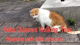 Walking Tour/  Onoyama Park   Naha  Okinawa  Japan  【沖縄那覇市】奥武山公園の散歩