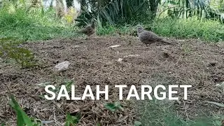 BL BETINA TURUN JANTANNYA TAK MAU TURUN