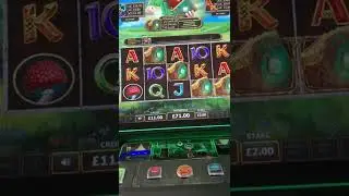 Book of the Irish slots. Massive win or massive fail?