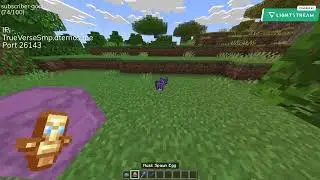 making a free server until it breaks completely rules in description #minecraft #live #gaming