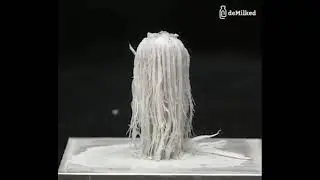 How To Open The 