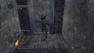 BANISHMENT ADMINISTERED - DARK SOULS II: Scholar of the First Sin