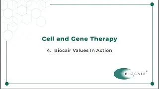 4. Biocair Values In Action