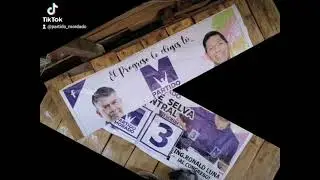 Partido morado