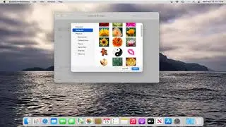 How To Change User Profile Image on macOS [Tutorial]
