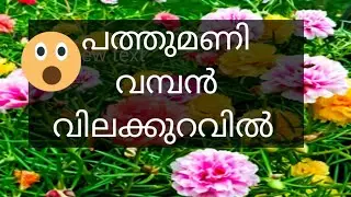 Tables rose combo sale Malayalam