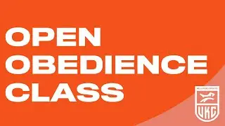 UKC Obedience: Open Class Exercises