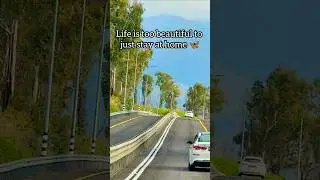 Go to traveling! ☘️ #nature #trending