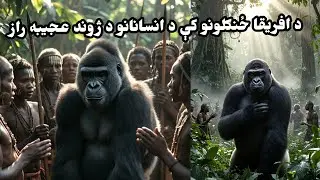 د افریقا هغه نادره وني چې هر څوک غواړي|The rare trees of Africa that everyone desires.