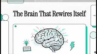 Epilepsy And Neural Circuitry: The Kindling Effect In Neuroscience (Purves Neuroscience 6/e).
