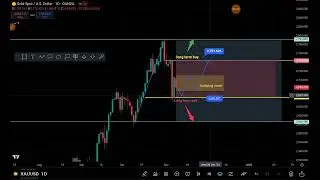 Next week (11.11.2024 ~ 15.11.2024)market analysis🤩🤩