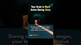 Your Brain Is More Active During Sleep