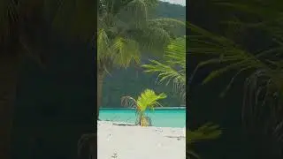 Andaman Adventure on a Shoestring-2 #travel #beachlife #food #explore #biryani