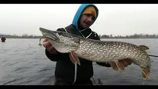 Hechtangeln auf Rügen | Auf Hecht im Flachwasser mit Adrian Prus
