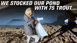 Stocking Our Backyard Pond with Rainbow Trout (And Fishing for them)