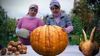 Приготовление тыквенного риса, котлет и десерта в деревне | 1 час РЕЦЕПТОВ ИЗ ТЫКВЫ