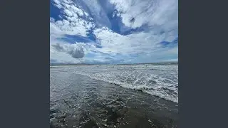 Follow the Sound
