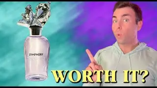 Louis Vuitton Symphony Review- Is It Worth the Hype?