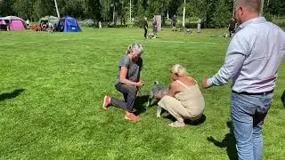 Utställning - så går det till