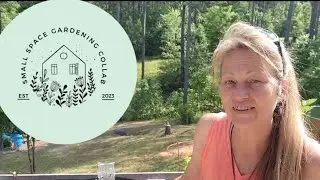 #smallgardens2023 collab &lrm;@DigwellGreenfingers&nbsp; &lrm;@BloosSelfReliance&nbsp; #homestead #growyourownfood