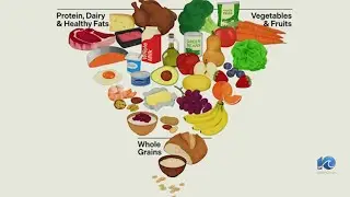 What is different about the new food pyramid?