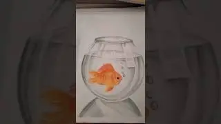 Fish Drawing realistic