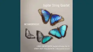 Quartet in C# minor Op. 131 II Allegro molto vivace