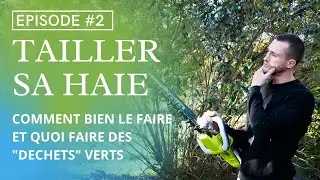 Tailler sa haie et comment valoriser les 