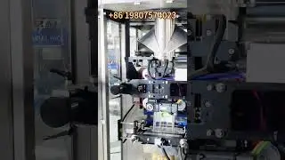 454g Pasta macaroni weighing and packaging machine, dry noodles multihead weigher filling machine
